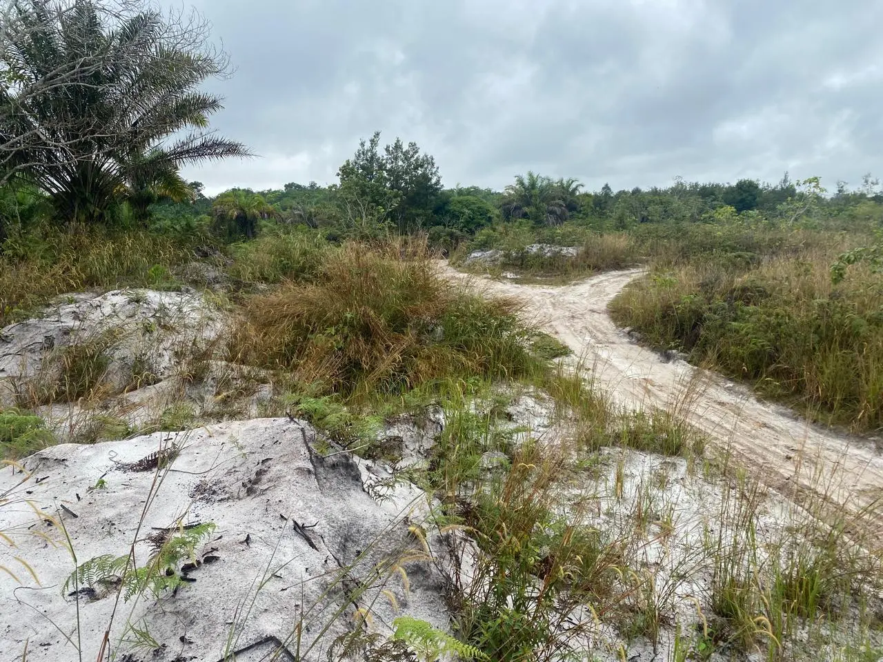 Jalur tanah menuju area lokasi pasir kuarsa
